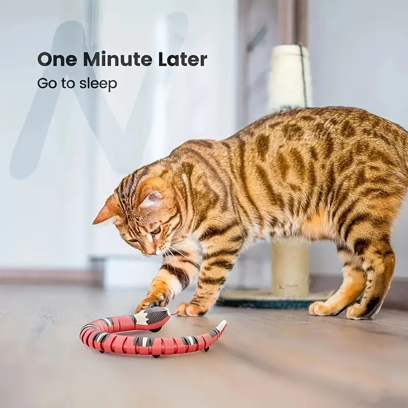 Interactive Snake Toy for Cats