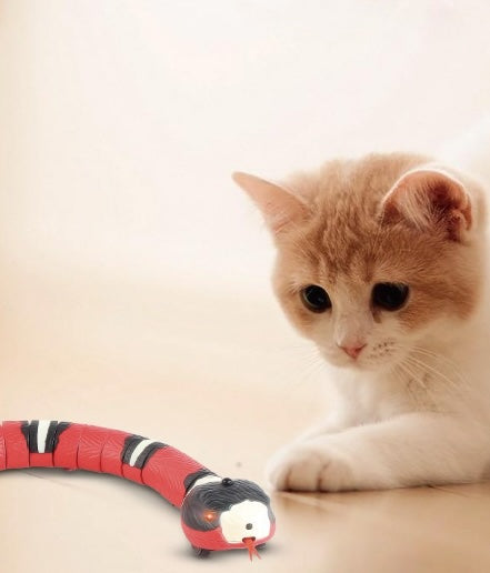 Interactive Snake Toy for Cats